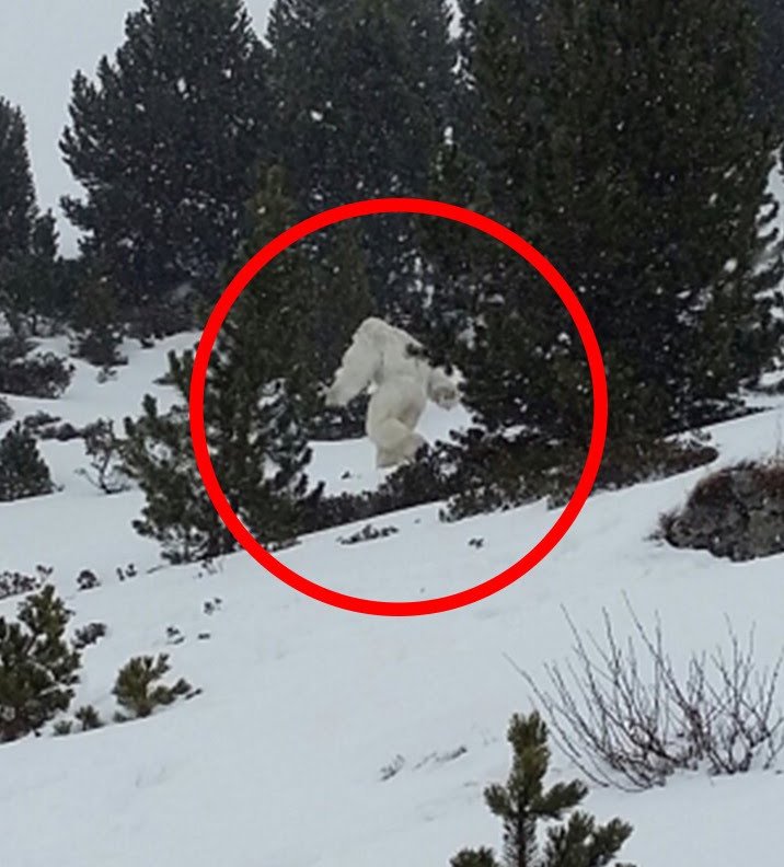 abominable snowman sighting Image from TomoNews US on YouTube