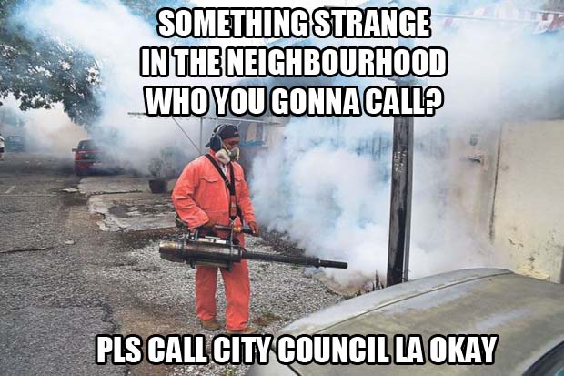 call city council