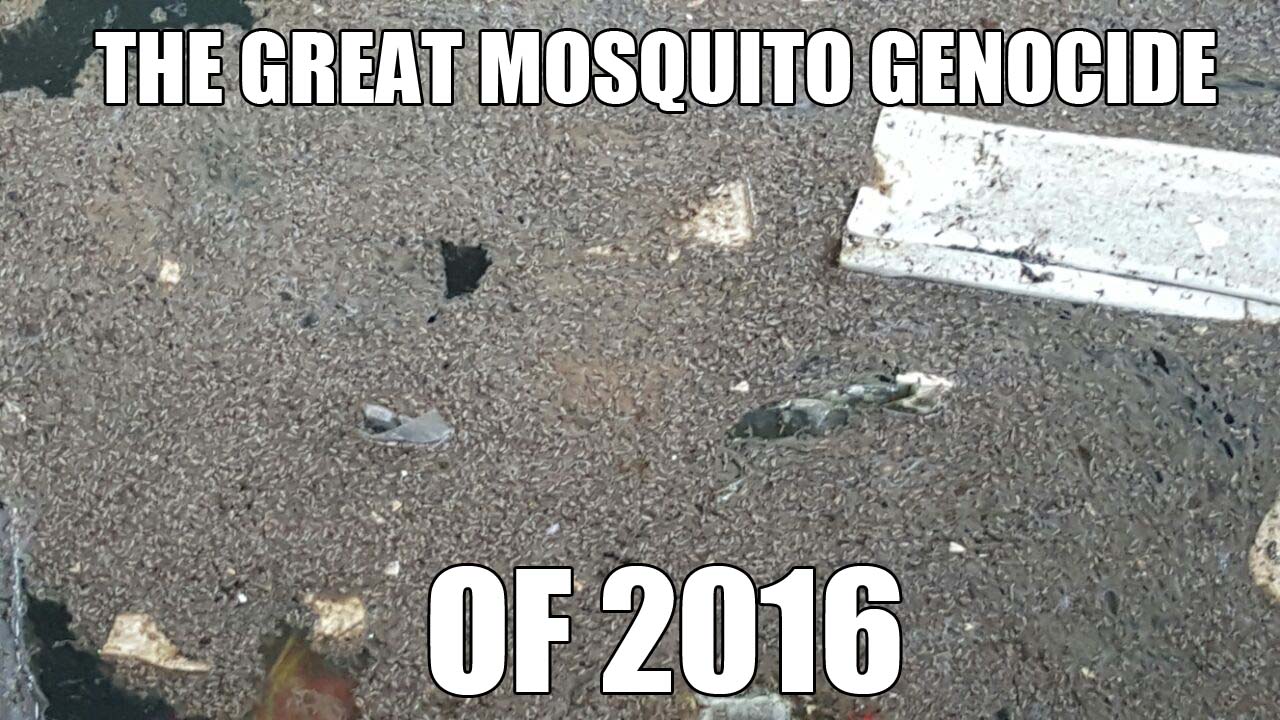 mosquito genocide 2016