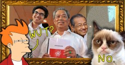 Is Muhyiddin’s new party a rebranded UMNO? Or could it be a stroke of genius?