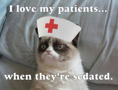 i love my patients when they sedated grumpy cat