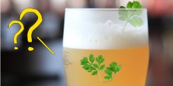 A new Malaysian beer made with… Chinese parsley!?
