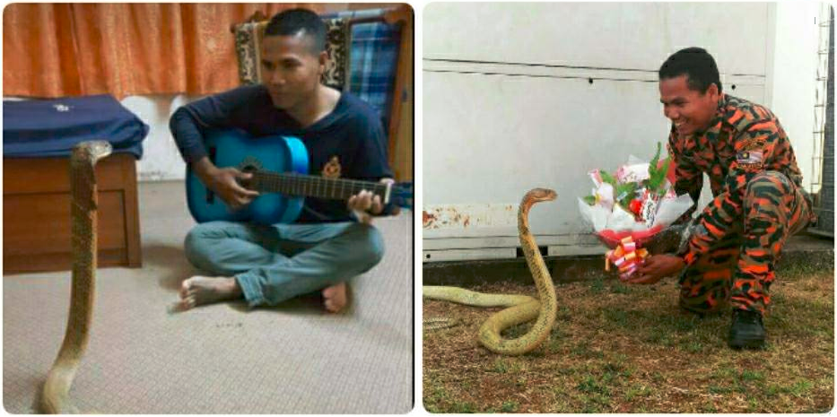 abu-zarin-snake-guitar-flowers