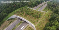 Malaysia has car highways. But now the govt wants to build a highway for animals!