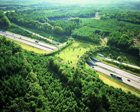 ecoduct-de-woeste-hoeve-the-netherlands-wildlife-crossing-bridge