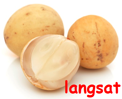 langsat-vs-bangsat