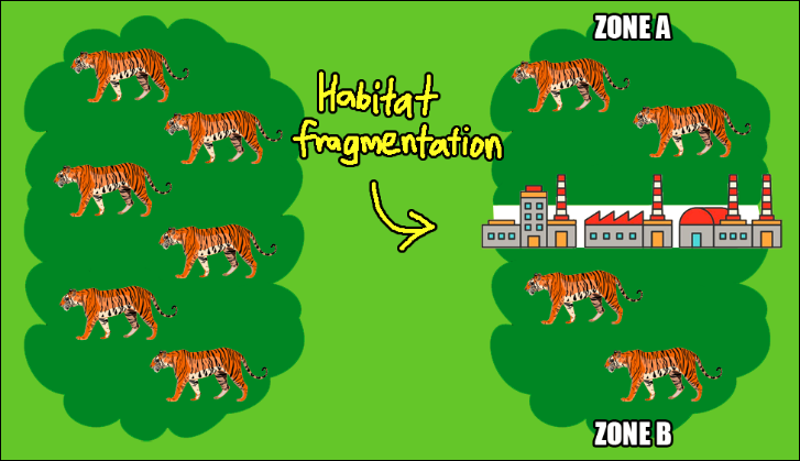 tiger-habitat-fragmentation