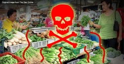 OMG! Are vegetables from Cameron Highlands poisonous?
