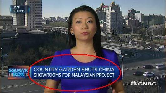 CNBC news reporter country garden shut down forest city showrooms