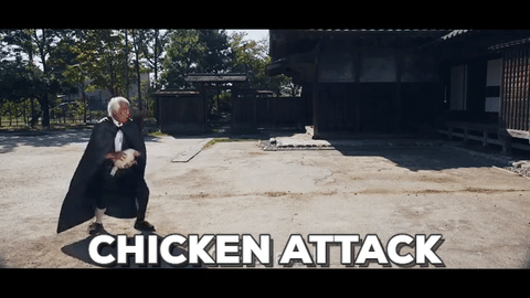 chicken attack