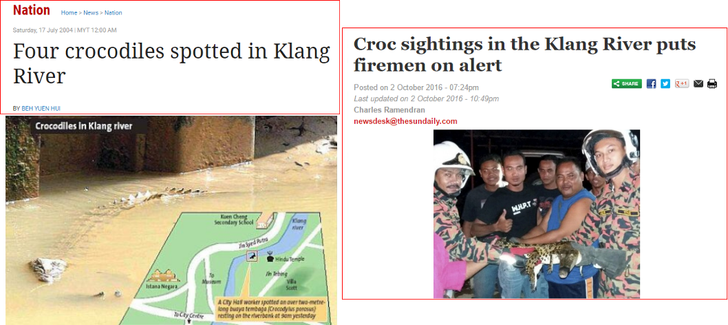 crocodile sightings news reports klang river