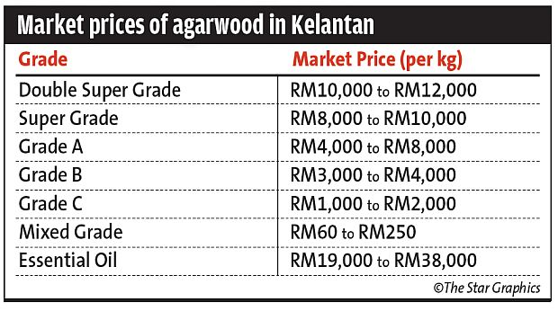market price agarwood kelantan