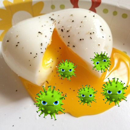virus egg yolk