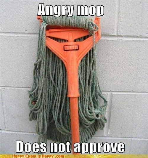 angry mop