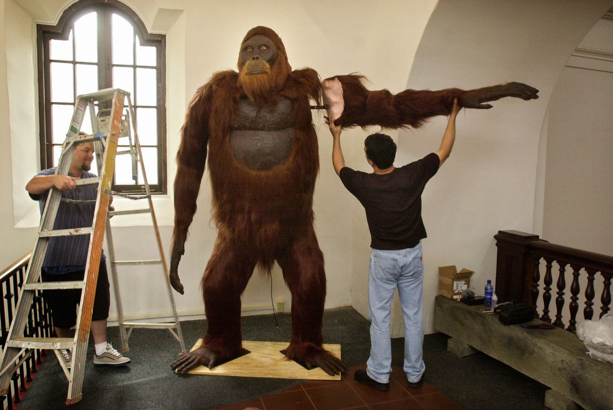 01gigantopithecus