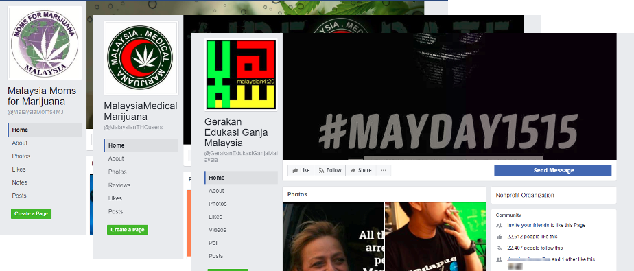 facebook malaysia group marijuana ganja