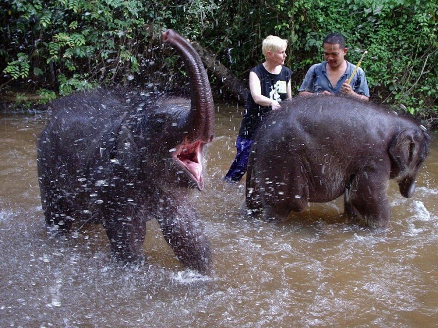 A Brit lady trapped herself in a cave to protest elephant rides in
