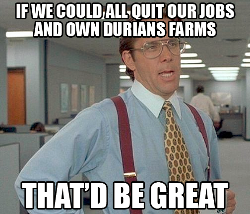 quit job open durian farm that'd be great