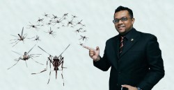 Dengue shot up by 225% in Malaysia since 2013?! This mosquito expert explains WHY