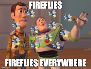 People pay money to travel here to watch fireflies... So why don't we just go see them for free?