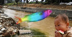 Male fishes in Malaysia are turning female? Hmm… what happens if we eat it?