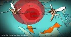 New strain of super malaria that cannot be killed with drugs spreads fast across SEA close to Malaysia