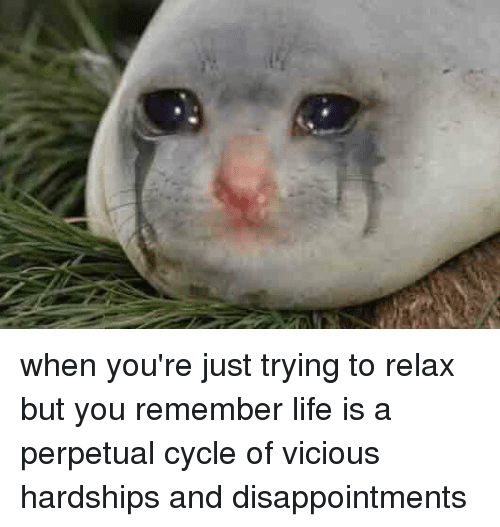 Sad seal is sad. Source