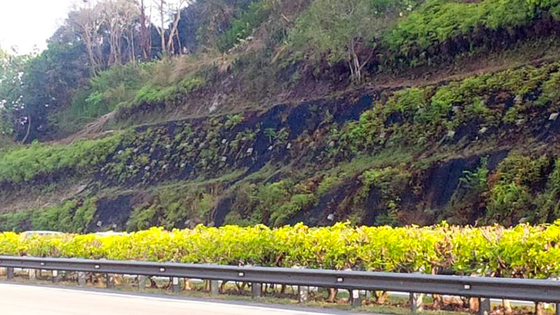 A slope near Pedas-Linggi secured using a kind of fabric cover. Img from Naue Asia.