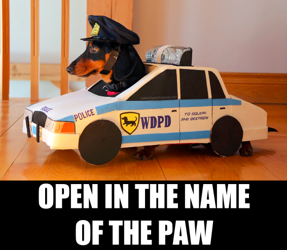 dachshund dog police car cop meme