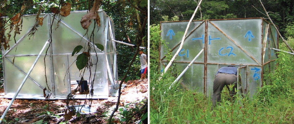 The traps had smooth walls inside so that the monkeys couldn't climb out. Photos courtesy of Dr. Balbir