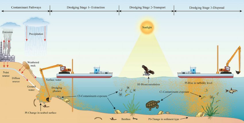 Sand dredging, which is basically sucking up sand from the sea floor, can be very damaging to marine life. Img from ACPrimeTime.