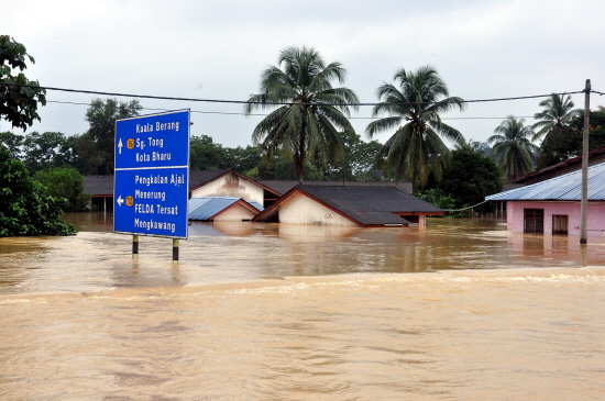 Deforestation may have caused more floods in recent times. Img from TheSunDaily