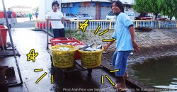 How did a bunch of uni students triple the income of Sabah’s fishermen and farmers?