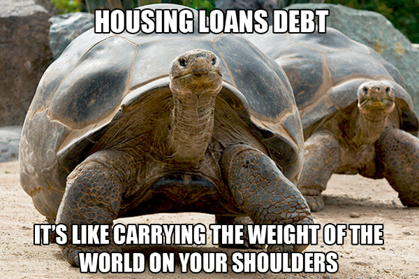 housing loan weight of the world galapagos tortoise turtle meme