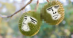 The gomen will research claims that durians can make people horny. We find out if it’s true.
