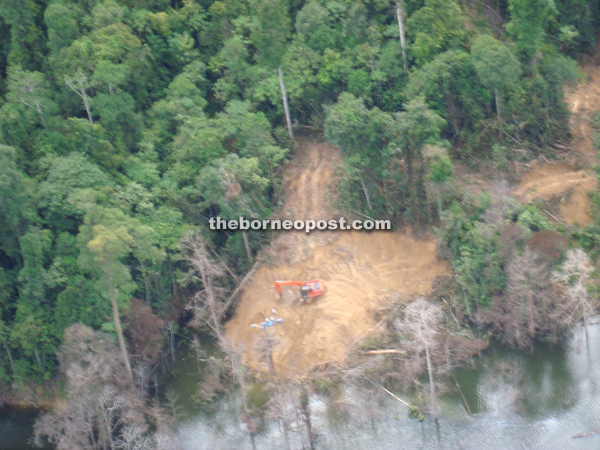illegal logging sarawak bakun dam