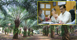 Europe is banning palm oil? Here’s one BIG effort from Malaysia that they might have overlooked…