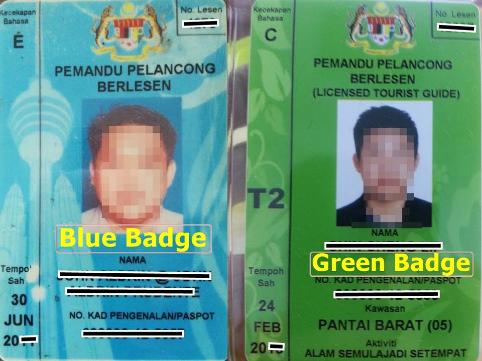 tourism guide card blue green