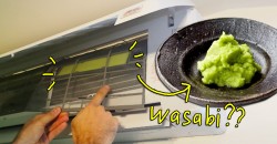 This aircond wants to clean dirty Malaysian air with… WASABI?! But how?