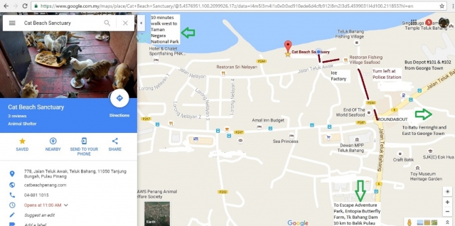 Map if you gais decide to help out at the shelter. Img from catbeachpenang.com