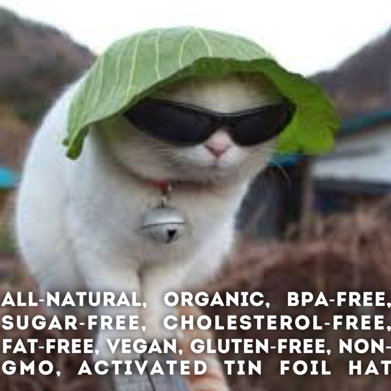 hipster cat organic