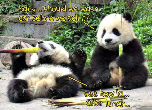 lazy-pandas