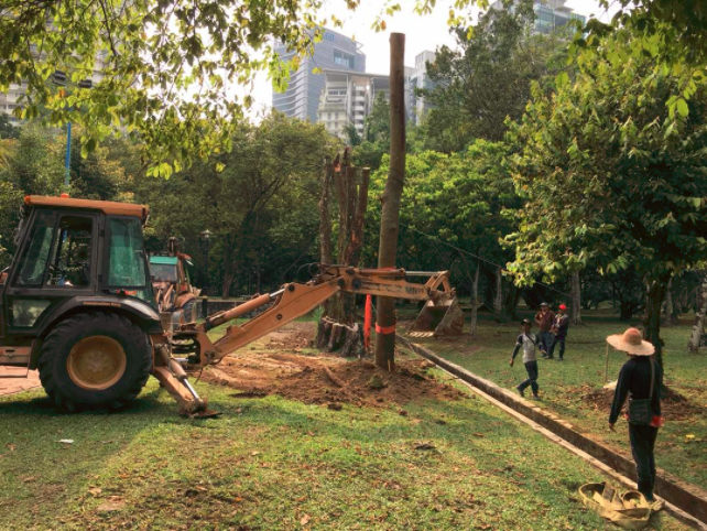 taman rimba kiara excavator fell chop cut clear trees
