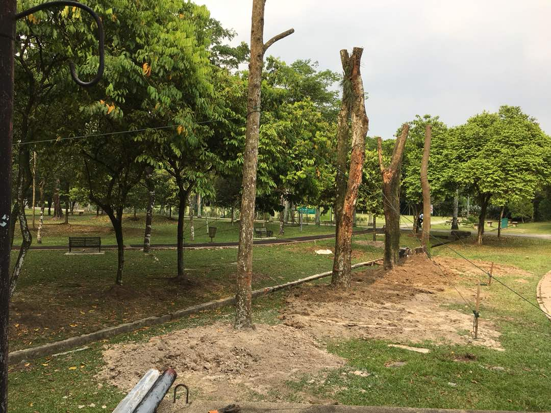 taman rimba kiara trees cleared felled