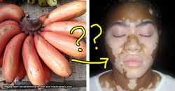 This Malay tribe believes eating red bananas can cause a horrible skin disease. Could it be true?