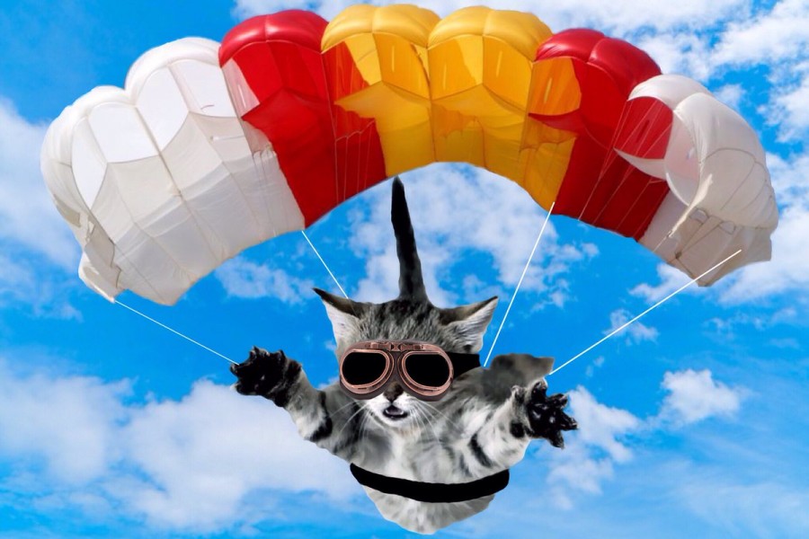 In the 1950s, the British RAF parachuted cats down into Sarawak. Yes