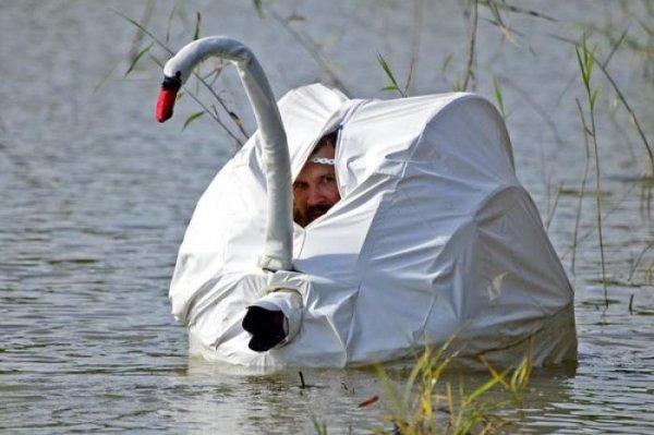 disguise swan spy