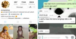 Exotic animals are simply being sold on Instagram! This Malaysian seller reveals how.