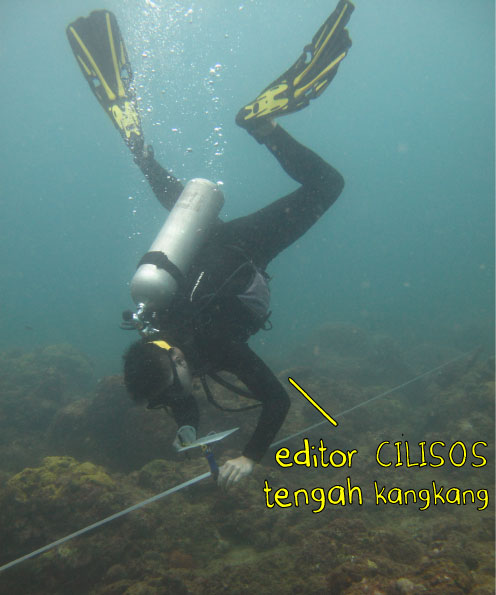 Our editor, Chak, doing a very strange pose to make sure he's observing the reef properly