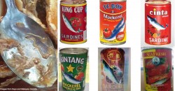 Cacing found in 8 DIFFERENT sardine brands? Here’s how they ended up there in the first place